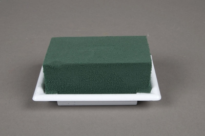 A024QV