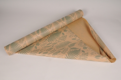 A000EA Kraft bio paper roll fern 70cmx40m