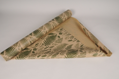 A001EA Kraft bio paper roll fern 70cmx40m