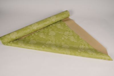 A002EA Rouleau de papier kraft Bio jungle 70cmx40m