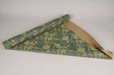 A003EA Rouleau de papier kraft Bio jungle 70cmx40m