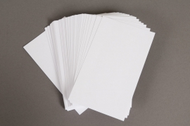 A004OI Pack of 100 index cards