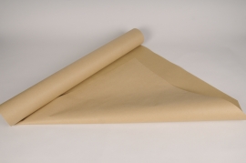 A005EA Rouleau de papier kraft naturel écologique 70cmx50m