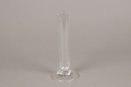 A005SH Soliflore en verre sur pied D3cm H20cm