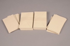 A006AS  Package of 100 business card and envelopes