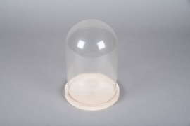 A009PM Glass dome with wooden tray D17cm H25cm