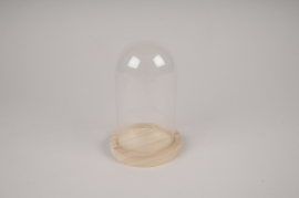 A010PM Glass dome with wooden tray D10cm H16cm