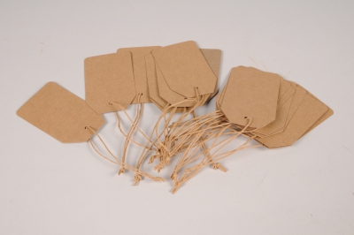 A010TG Paquet de 100 �tiquettes kraft naturel 5.5 x 9cm
