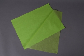 A012AS Ream of 520 tissue paper sheets bright green  50x75cm