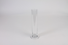 A013CV Clear single flower glass vase D8cm H25cm