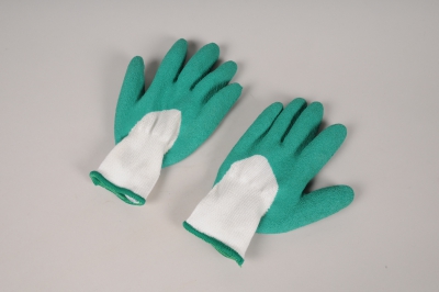 A014JE Gants rosiers taille 6
