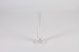 A016CV Clear single flower glass vase D8cm H20cm
