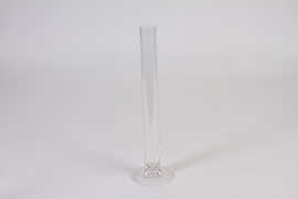 A017CV Clear single flower glass vase D8cm H30cm