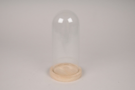 A023PM Cloche en verre avec plateau bois D10cm H19cm