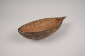 a024wg Natural baobab shell 25x11.5cm H6cm