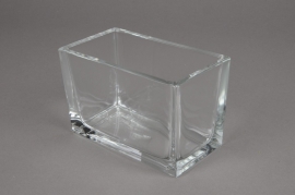 A025I0 Jardinière en verre 15cm x 8cm H10cm
