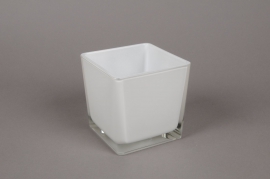 A028I0 Glass cube vase white 10x10cm H10cm