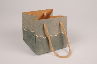 A028VB Paquet de 5 sacs vert 12x12cm