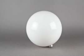 A031ZY Boule en plastique blanc D20cm