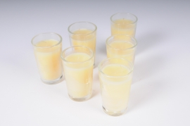 A033IR Box of 6 ivory small cup candle 20h