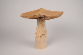 a036wg Natural teak mushroom D28cm H30cm