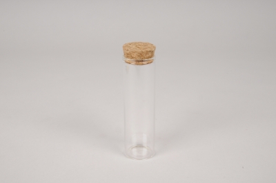 A041PM Box of 12 glass tubes D3cm H10cm