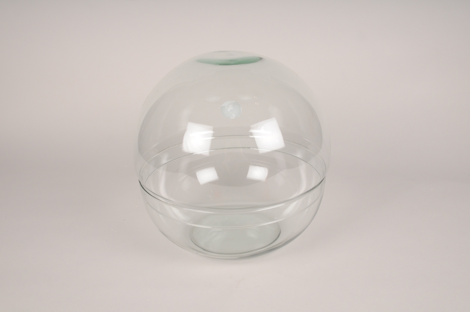 Glass sphere terrarium D28cm H28cm