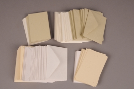 A046AS Pack of 100 index cards with envelope