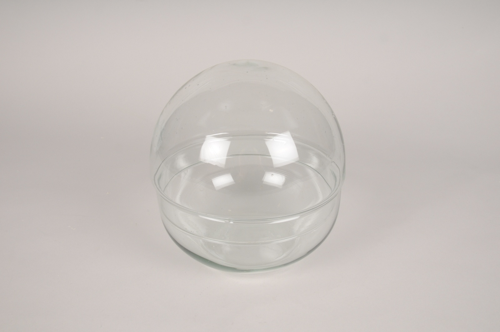 Glass sphere terrarium D20cm H20cm