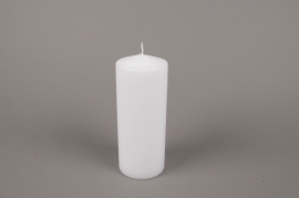 A053E2 Boîte de 6 bougies cylindres blanches D8cm H20cm