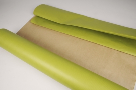 A055QX Kraft paper roll light green/ brown 80cmx120m