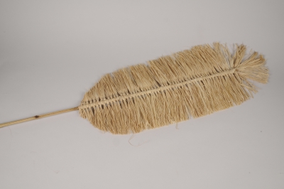 a055wg Palme de raphia naturel H162cm