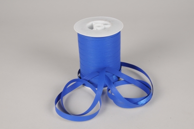 A057RB Bolduc mat bleu 10mm x 250m
