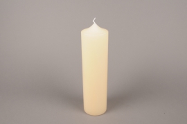 A058E2 Candle ivory cylinder D8cm H30cm