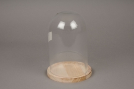 A062I0 Cloche en verre avec plateau bois D14cm H20cm