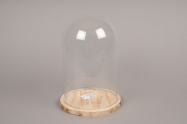 A063I0 Glass bell with wooden plater D17cm H24cm