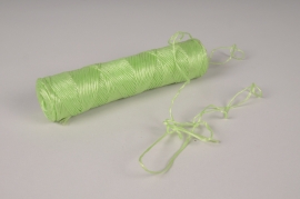 A066SF Ball of light green polypropylene string 