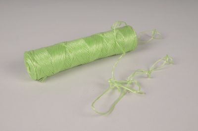 A066SF Ficelle polypropyl�ne vert clair