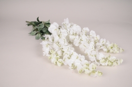 a067nn White artificial wisteria L75cm