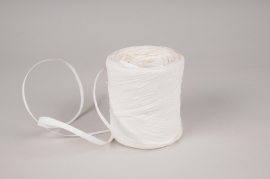 A078RB White roll of synthetic raffia 200m