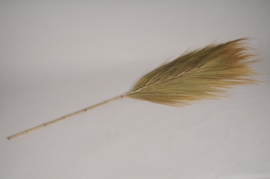 a090wg Natural dried grass palm H150cm