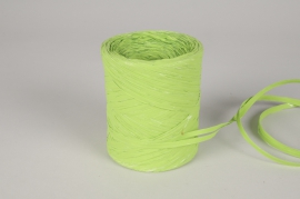 A091RB Roll of light green synthetic raffia 200m