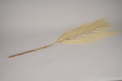 a091wg Whitened dried grass palm H150cm