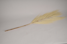 a091wg Whitened dried grass palm H150cm