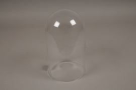 A106PQ Glass dome D15CM H26cm