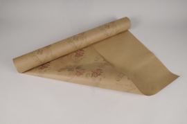 A108RB Roll of kraft paper with postcard print 70cmx50m