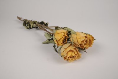 a113wg Yellow dried roses H50cm