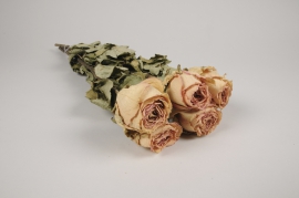 a114wg Salmon dried roses H54cm