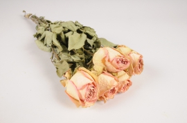 a117wg Light pink dried roses H50cm
