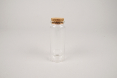 A118PM Box of 12 glass tubes D4.5cm H13cm
